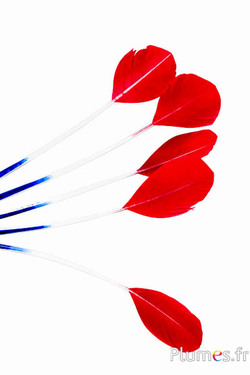 Panicule zwaan zijde - 25-30 cm - blauw-wit-rood